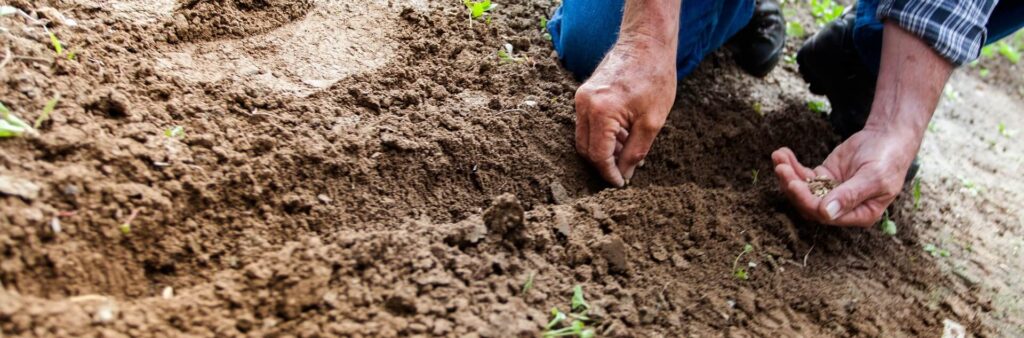 person with hands in the dirt